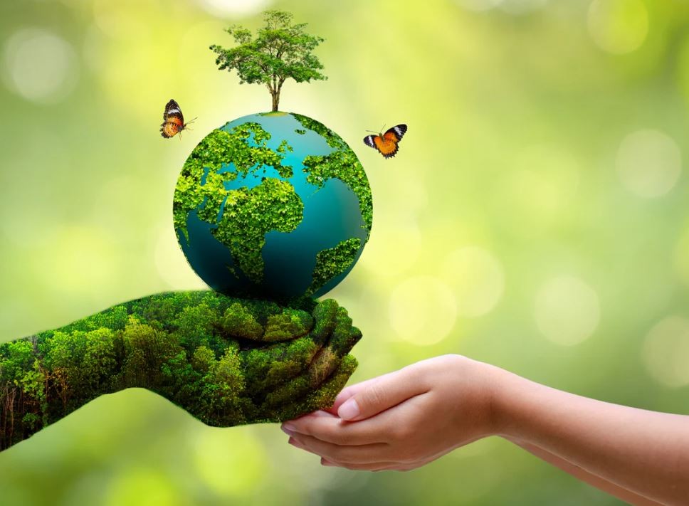 AWARENESS GREEN COMPANY FOR SUSTAINABILITY (AWT012) - 2025